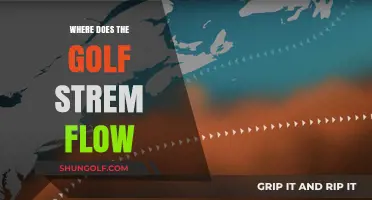 The Golf Stream's Journey: A Flow Exploration
