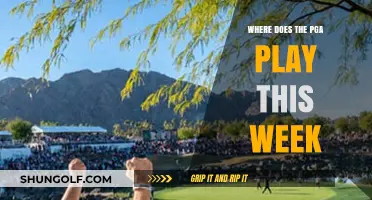 PGA Tour This Week: Location, Schedule, and Key Players to Watch