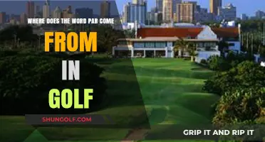 Unraveling the Origins: The Surprising History of 'Par' in Golf