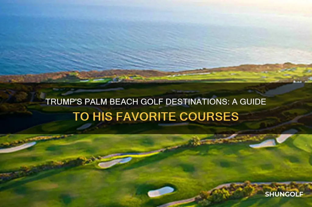where does trump golf in palm beach