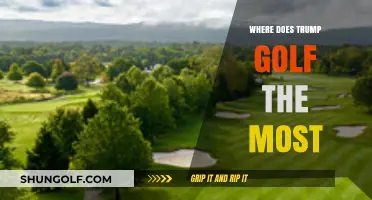 Trump's Favorite Golf Courses: Where He Tees Off Most Often