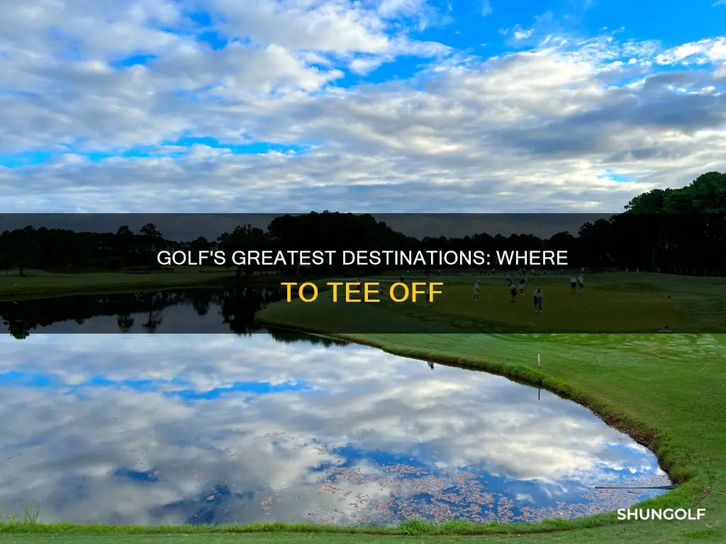 where golf is great t