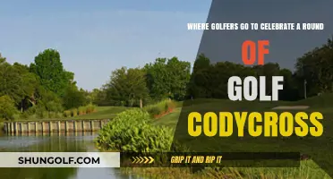 Top Golf Celebration Spots: CodyCross Guide for Post-Round Cheers