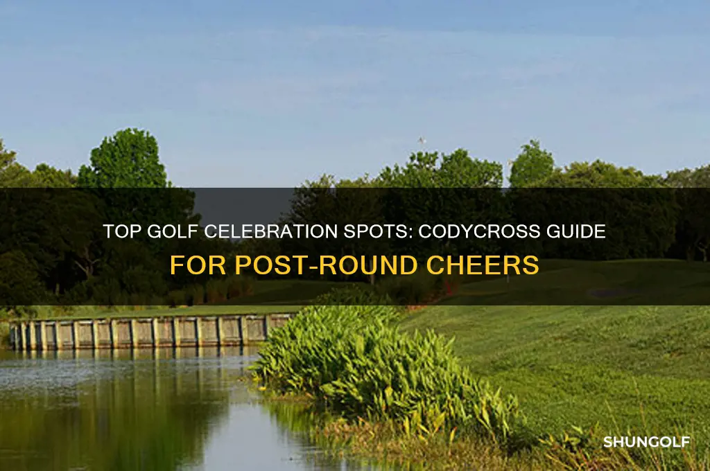 where golfers go to celebrate a round of golf codycross