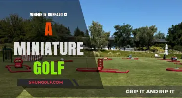 Buffalo's Best Mini Golf: Top Spots for Family Fun