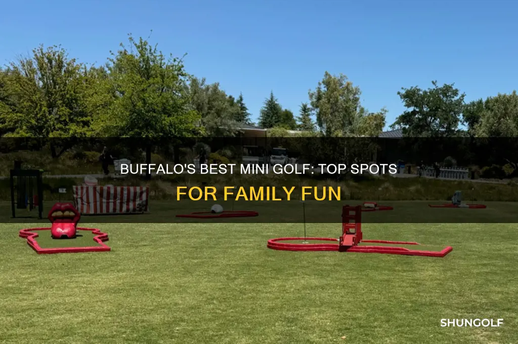 where in buffalo is a miniature golf