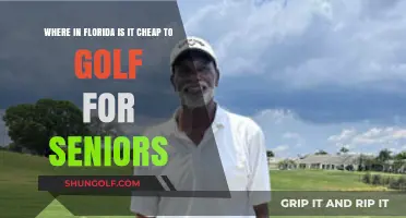 Affordable Senior Golfing in Florida: Top Budget-Friendly Courses