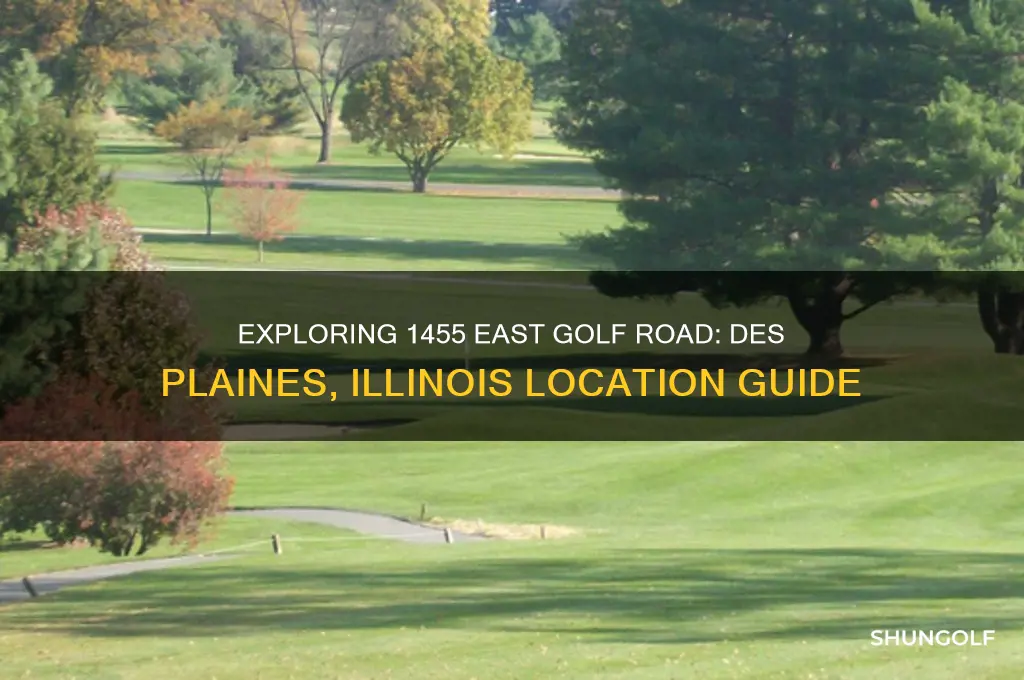 where is 1455 east golf road in des plaines illinois
