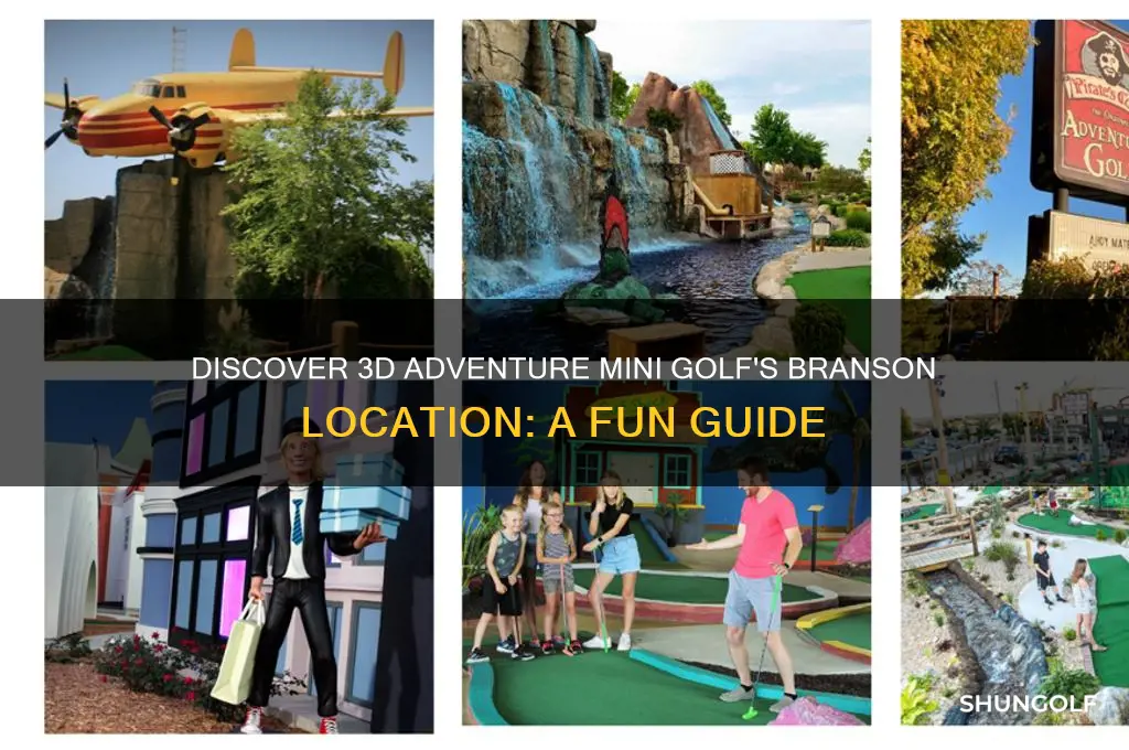 where is 3d adventure mini golf branson