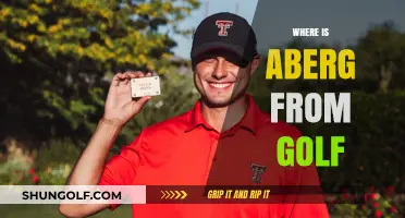 The Origins of Golf's Aberg: Where Did He Come From?