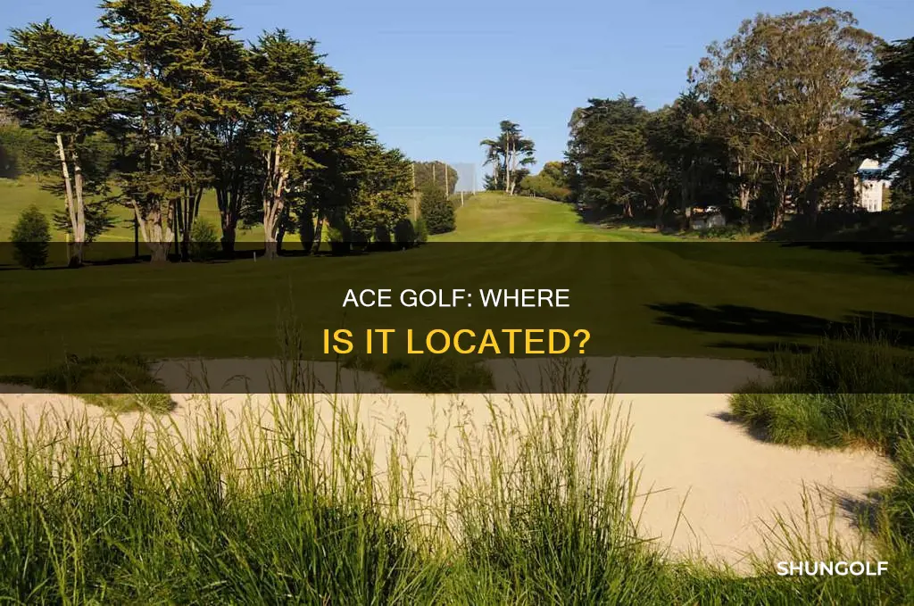 where is ace golf located