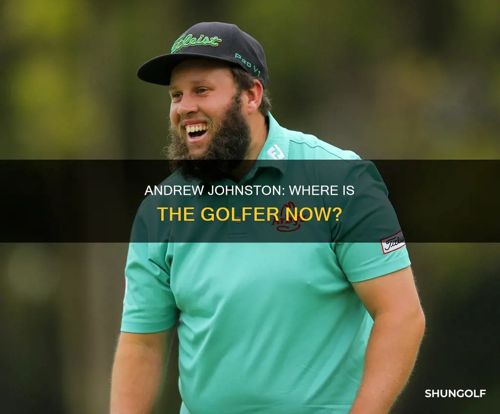 where is andrew johnston golfer