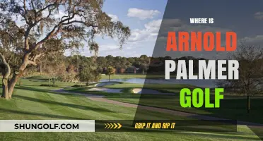 Arnold Palmer's Golf Legacy: Where Is It Now?