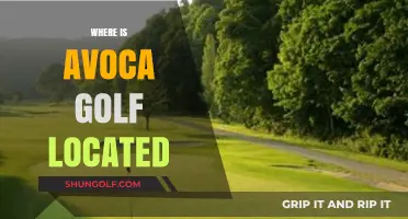 Avoca Golf Club: A Unique Course in Ireland