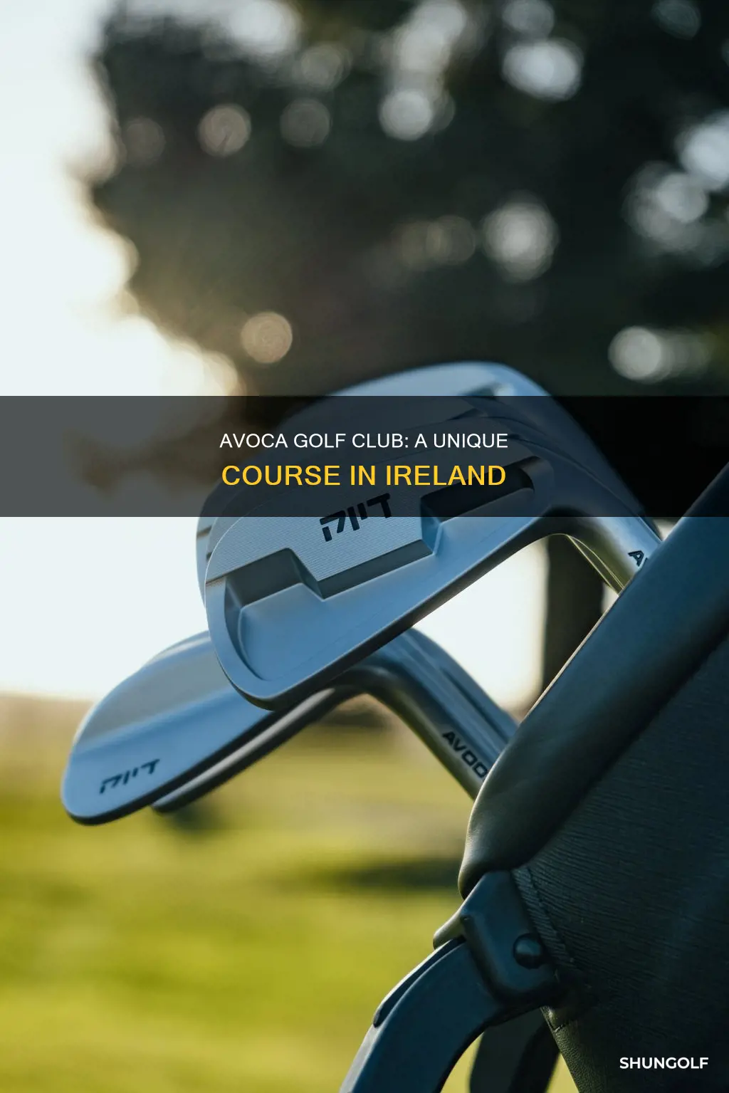 where is avoca golf located