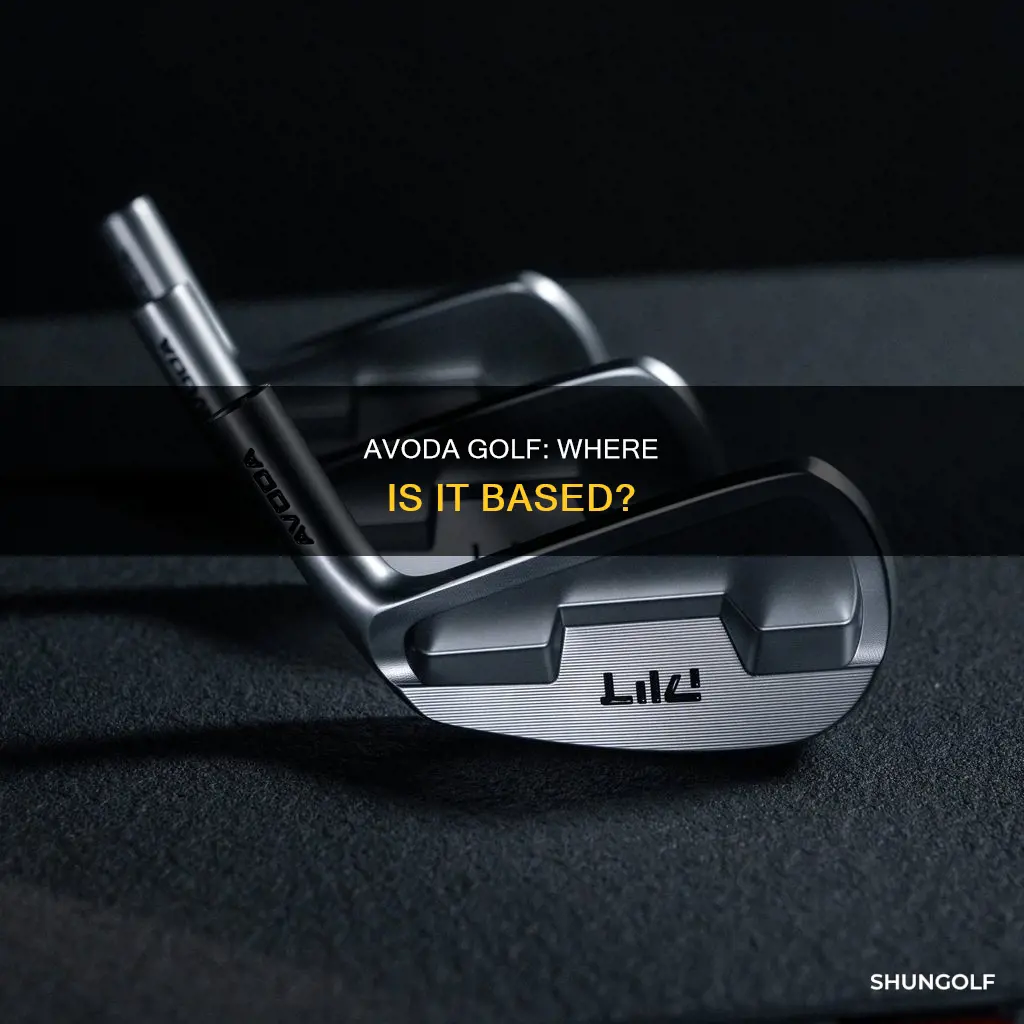 where is avoda golf based