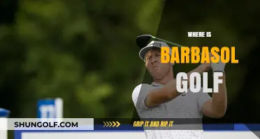 Barbasol Golf: Where's the Course?