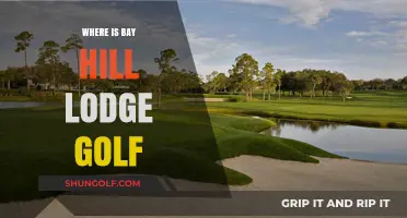 Golfing at Bay Hill Lodge: A Golfer's Paradise