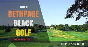 Bethpage Black Golf Course: A Challenge on Long Island