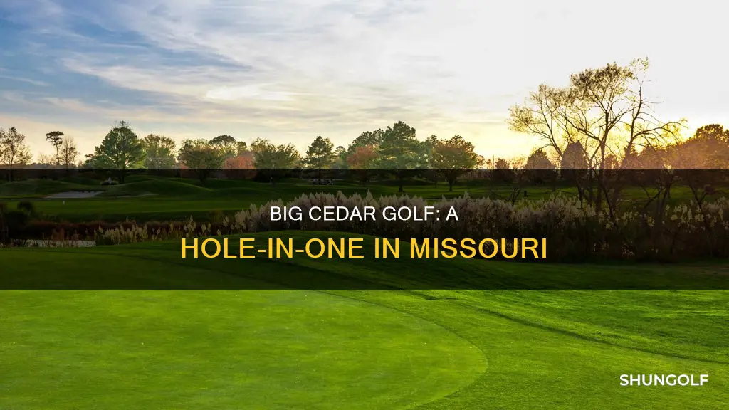 where is big cedar golf