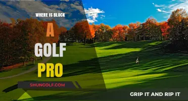 Golf Pro: Where Are They Now?