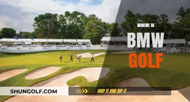 BMW Golf: Where's the Luxury Auto Giant Now?