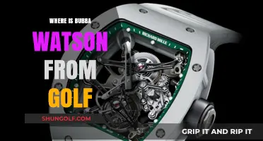 Golf Star Bubba Watson: His Roots and Rise