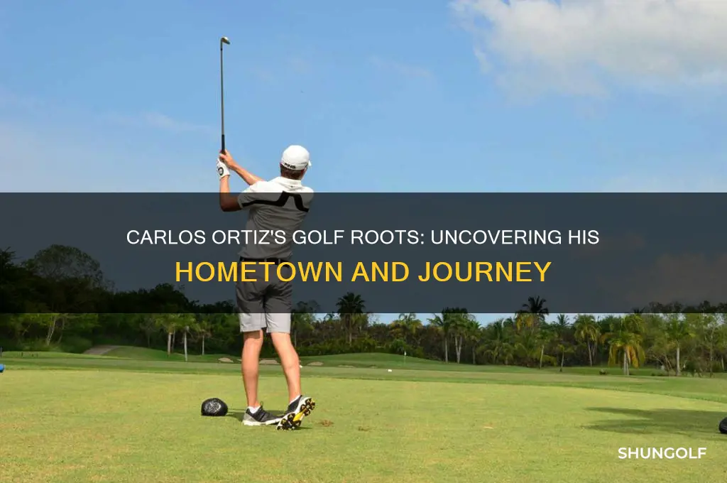 where is carlos ortiz the golfer from