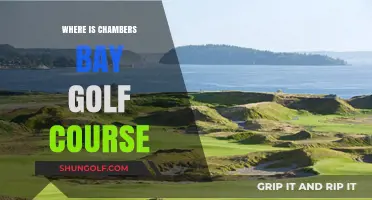Discovering Chambers Bay Golf Course: Location and Travel Guide