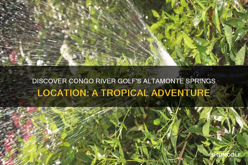 where is congo river golf altamonte springs