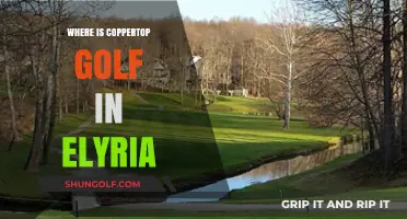 Coppertop Golf Course: A Gem in Elyria