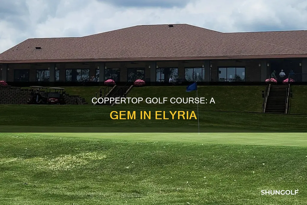 where is coppertop golf in elyria