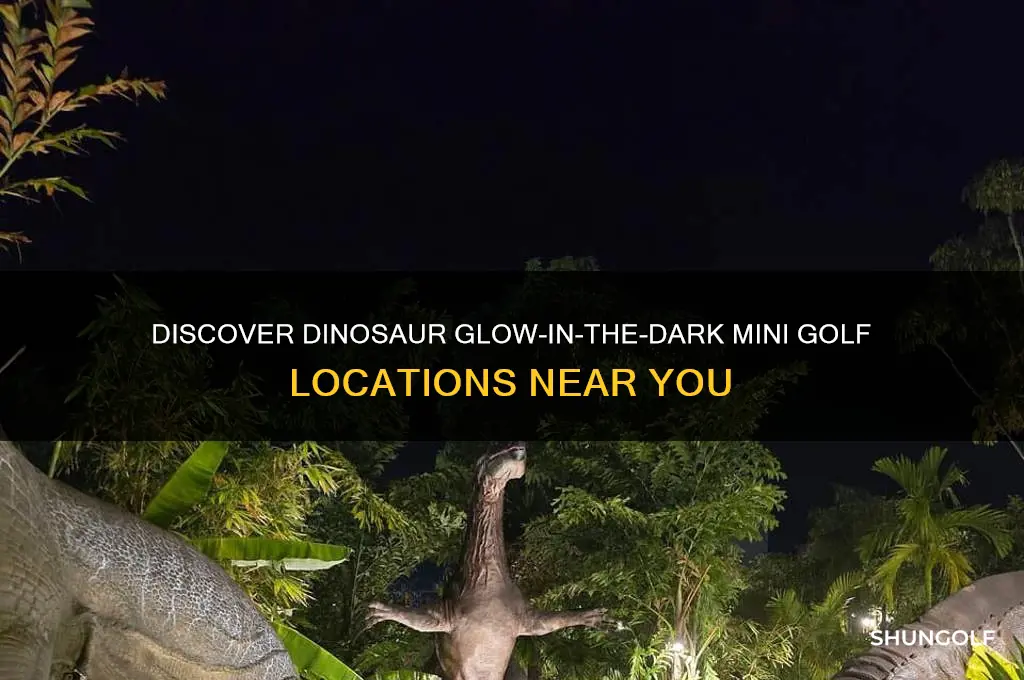 where is dinosaur glow in the dark miniature golf