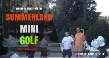 Discover Disney's Winter Summerland Mini Golf Location and Fun Facts