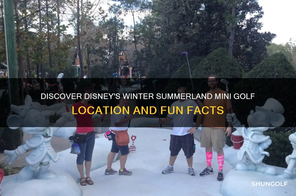 where is disney winter summerland mini golf