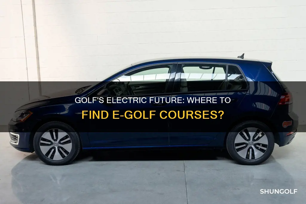 where is e golf available