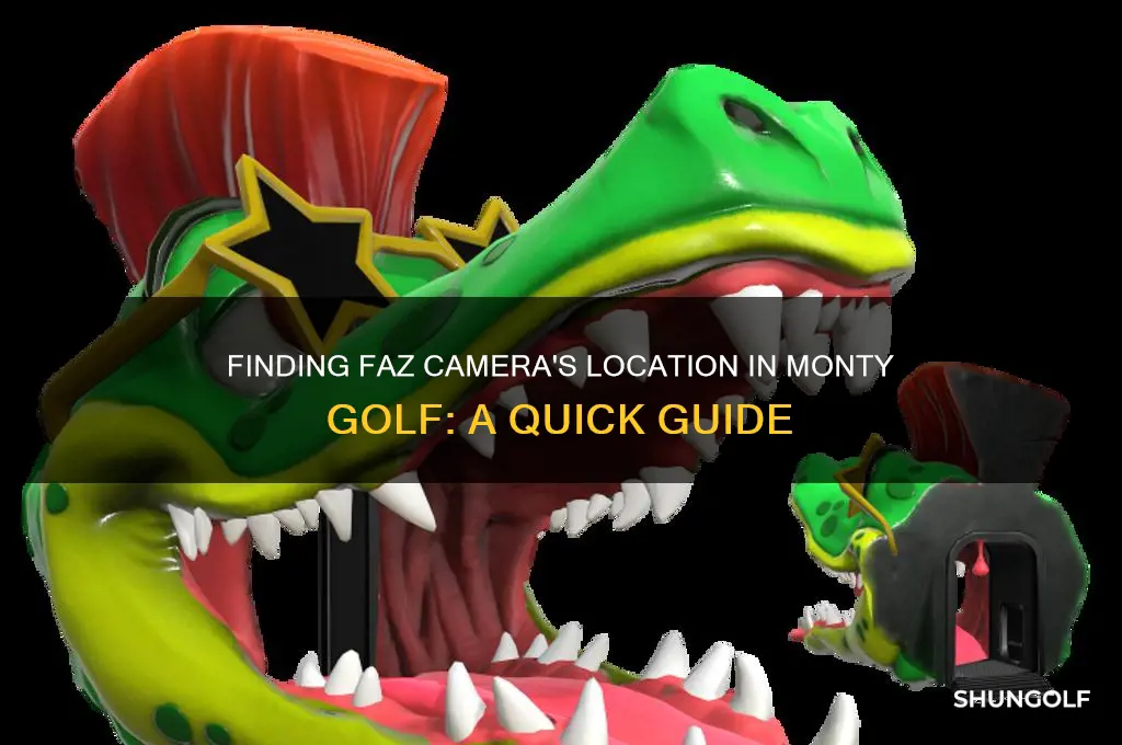 where is faz camera in monty golf