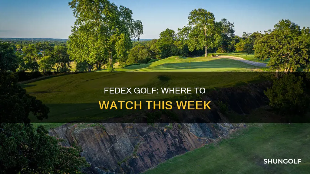 where is fedex golf this week