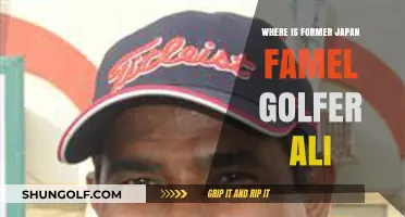 Tracing the Whereabouts of Former Japanese Golf Star Ali