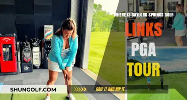 Discovering Gaylord Springs Golf Links: A PGA Tour Hidden Gem