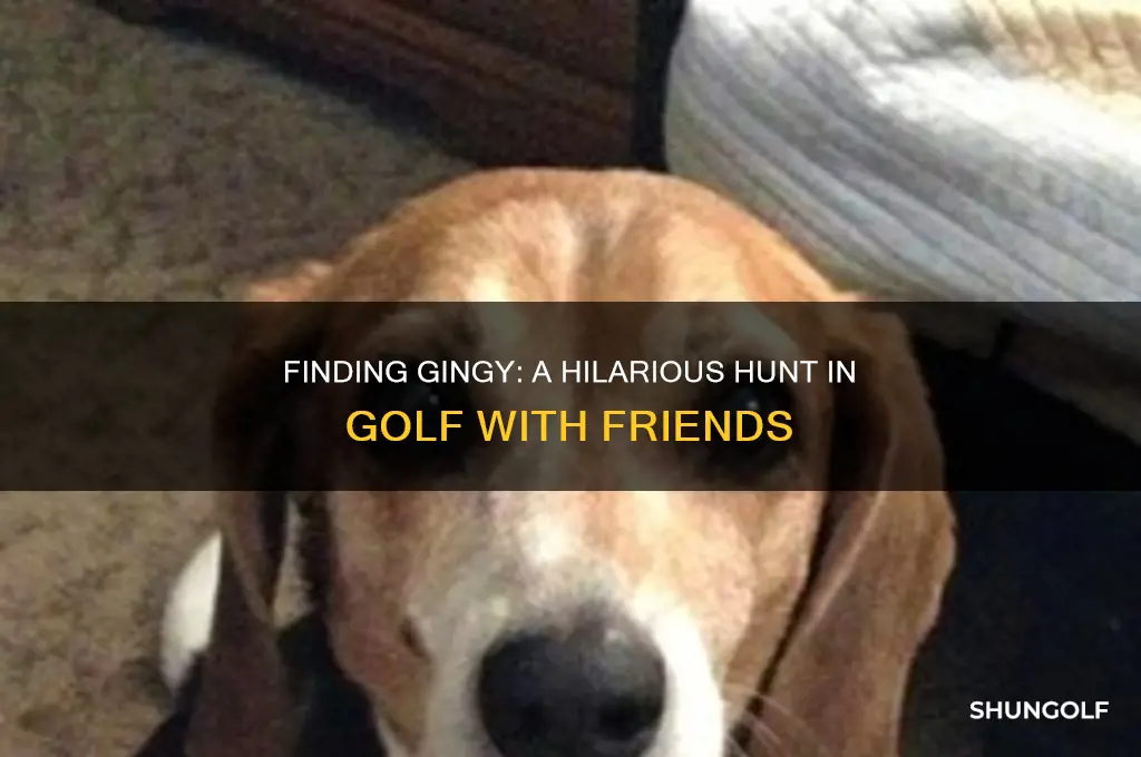 where is gingy in golf with friends