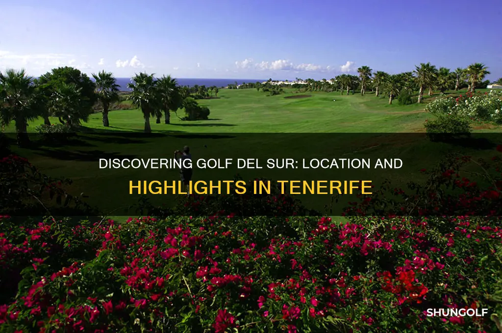 where is golf del sur in tenerife