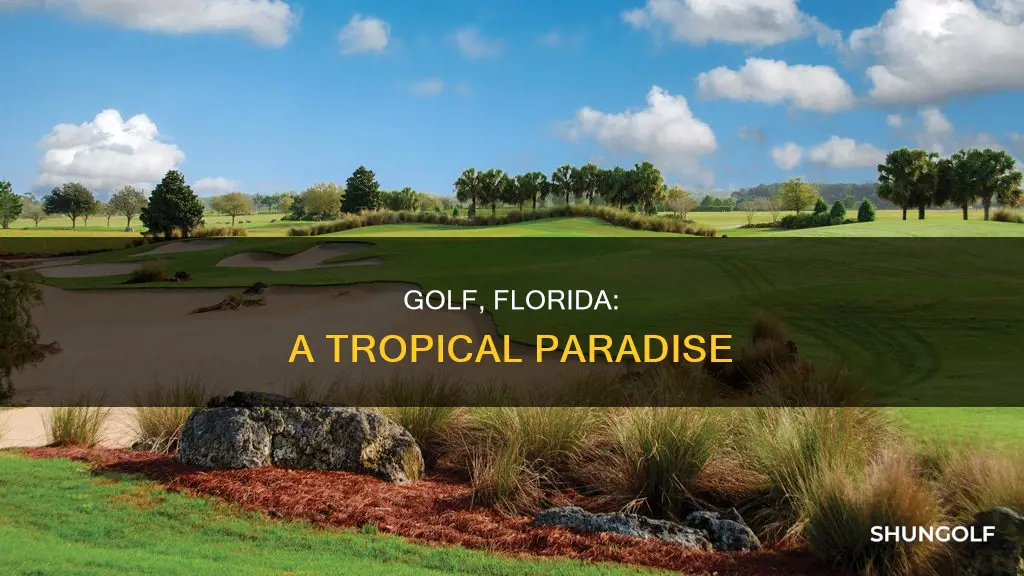 where is golf fl