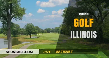 Golf in Illinois: Where to Find the Best Courses