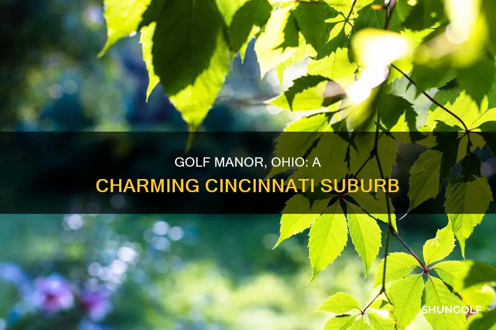 where is golf manor ohio