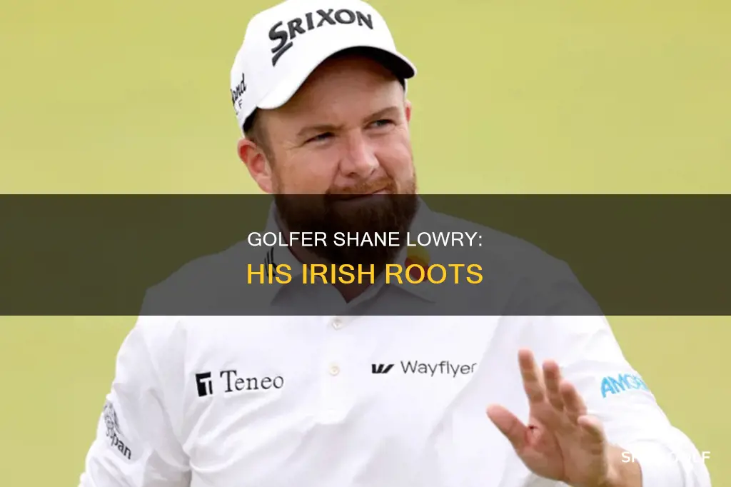 where is golfer lowry from