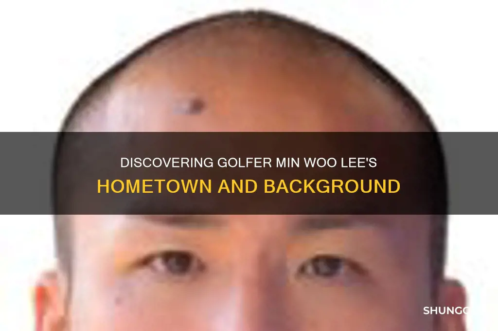 where is golfer min woo lee from