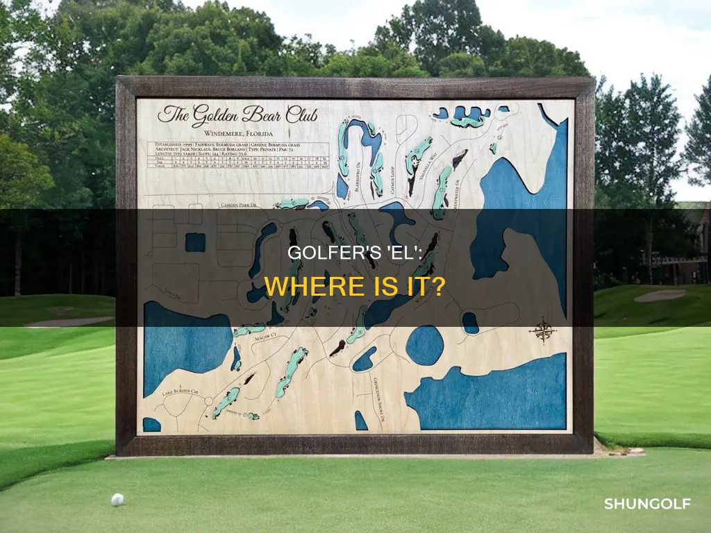 where is golfer