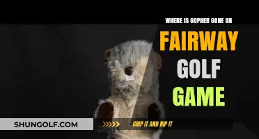 Where Did Gopher Go? Uncovering Fairway Golf Game's Missing Mascot Mystery