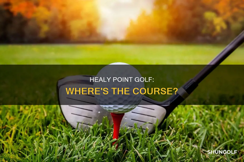 where is healy oint golf